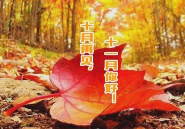 十月再見，十一月你好